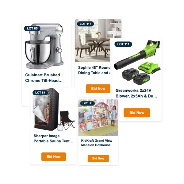 Bid, win, score — Surplus Depot online auction items